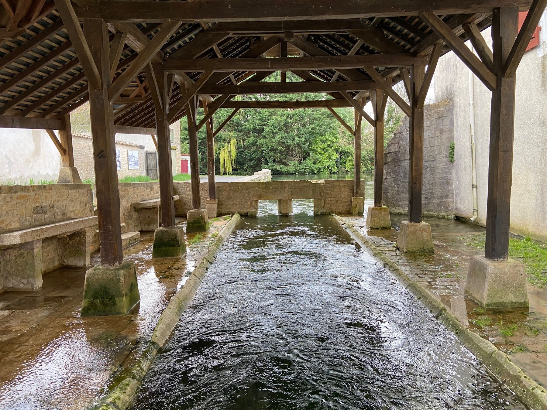 chef boutonne lavoir