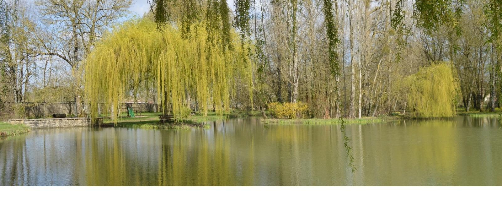 étang à sainte soline