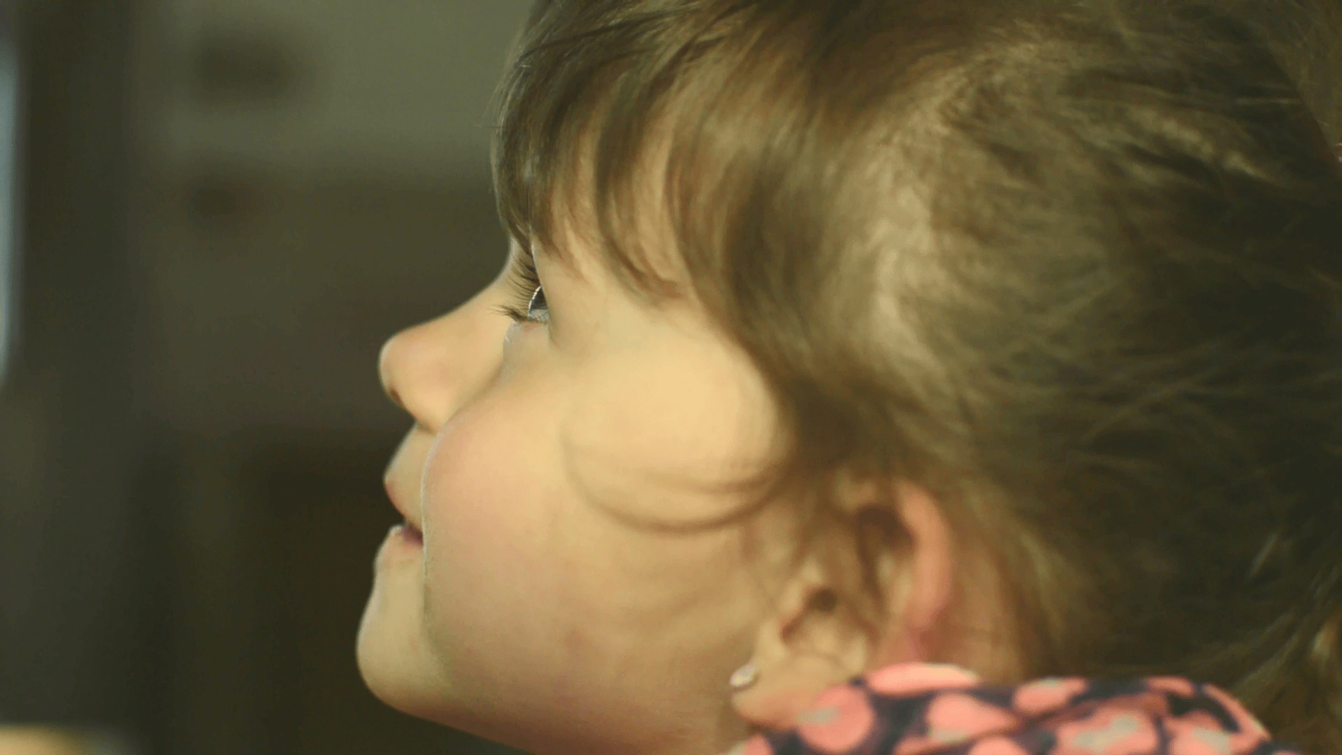 Chateau de Javarzay Chef-Boutonne