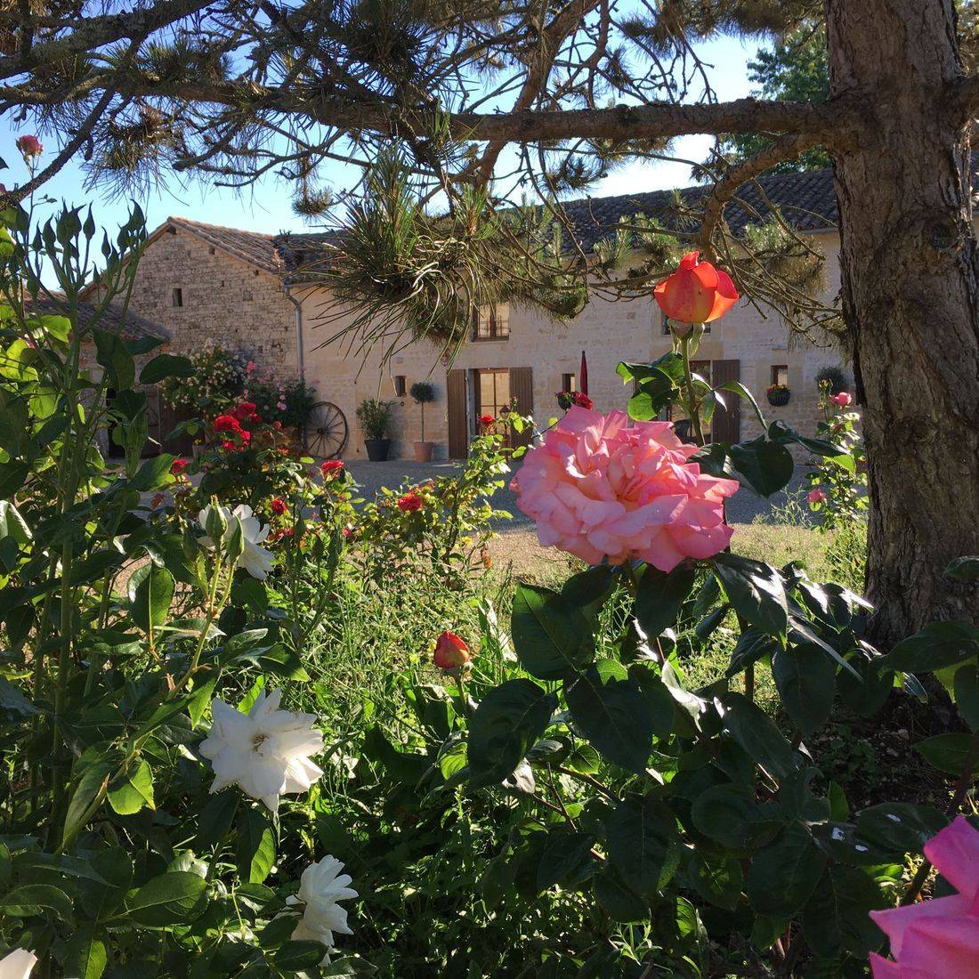 Gites dans les champs