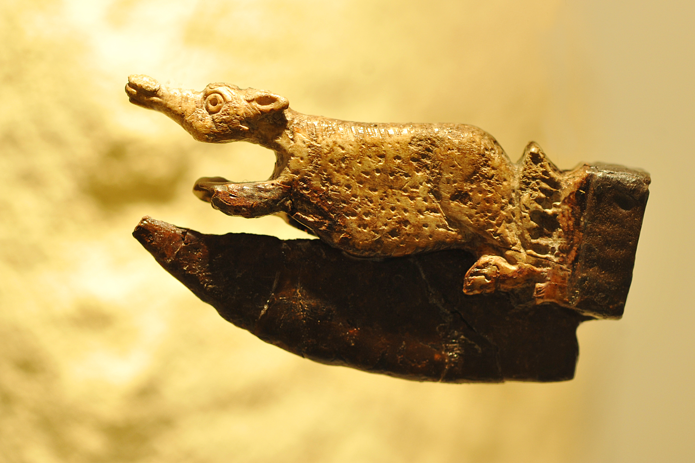 Le musée de Rauranum à Rom