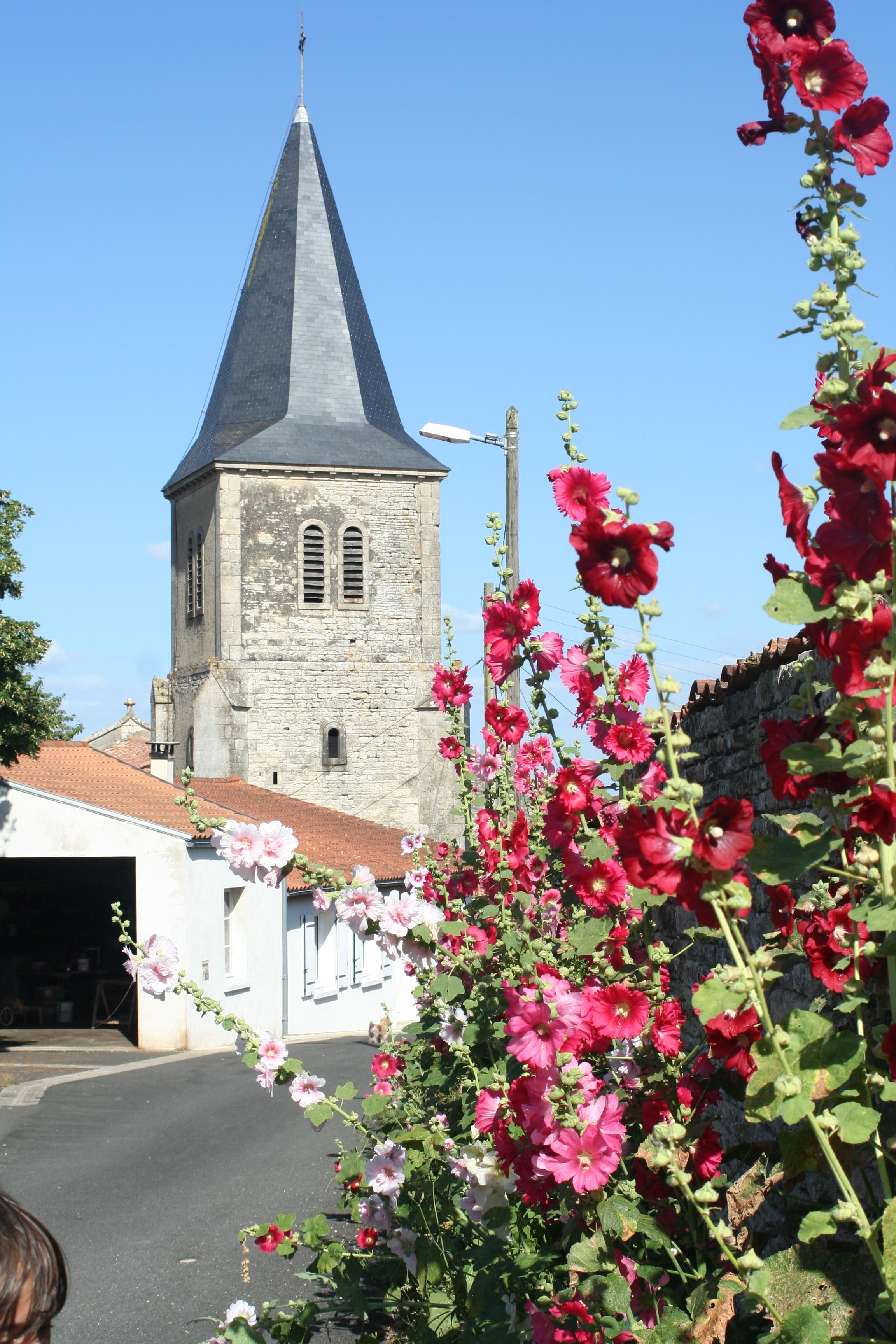 Chizé - gourdel-s (4).JPG_1