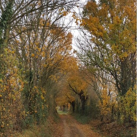 ENS Prairies de Lezay